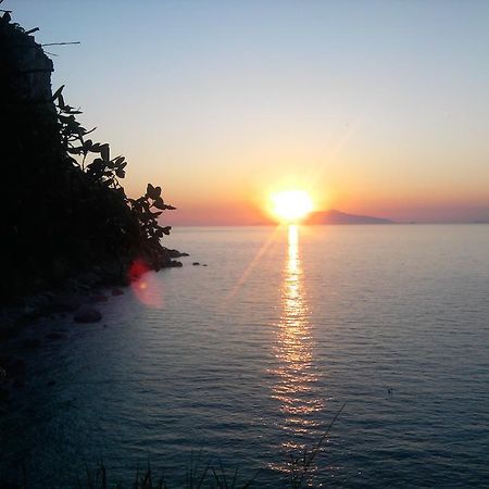 B&B Palazzo A Mare Capri Exteriér fotografie