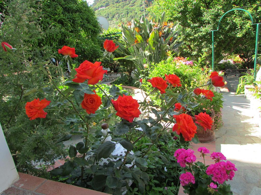 B&B Palazzo A Mare Capri Exteriér fotografie