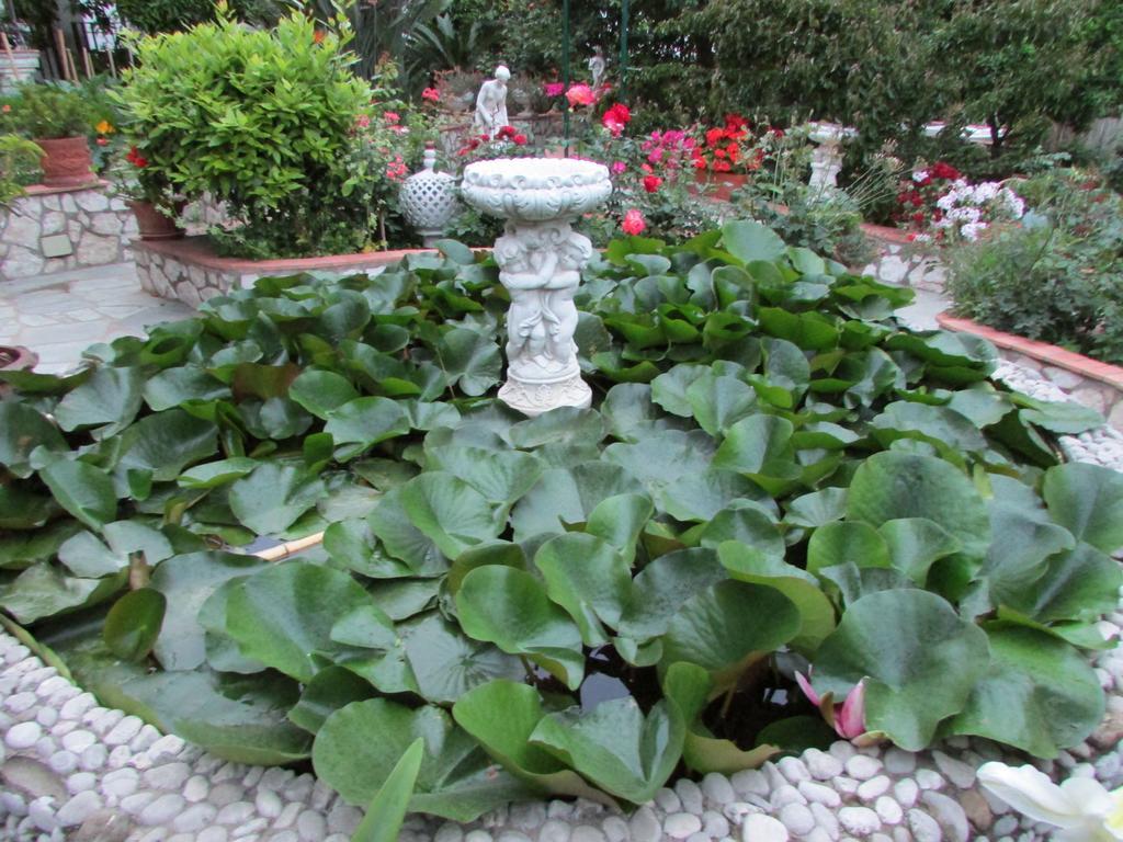 B&B Palazzo A Mare Capri Exteriér fotografie