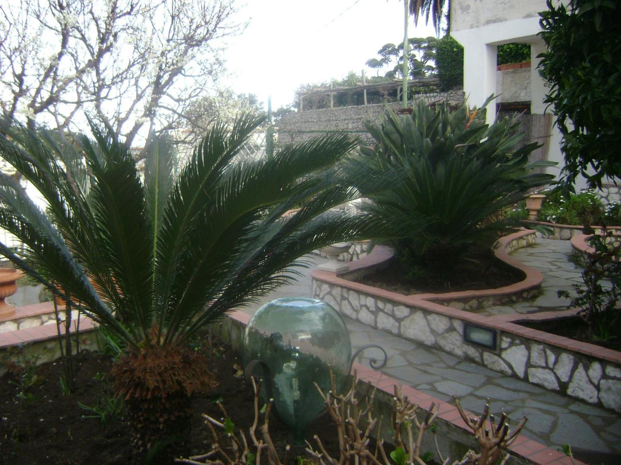 B&B Palazzo A Mare Capri Exteriér fotografie