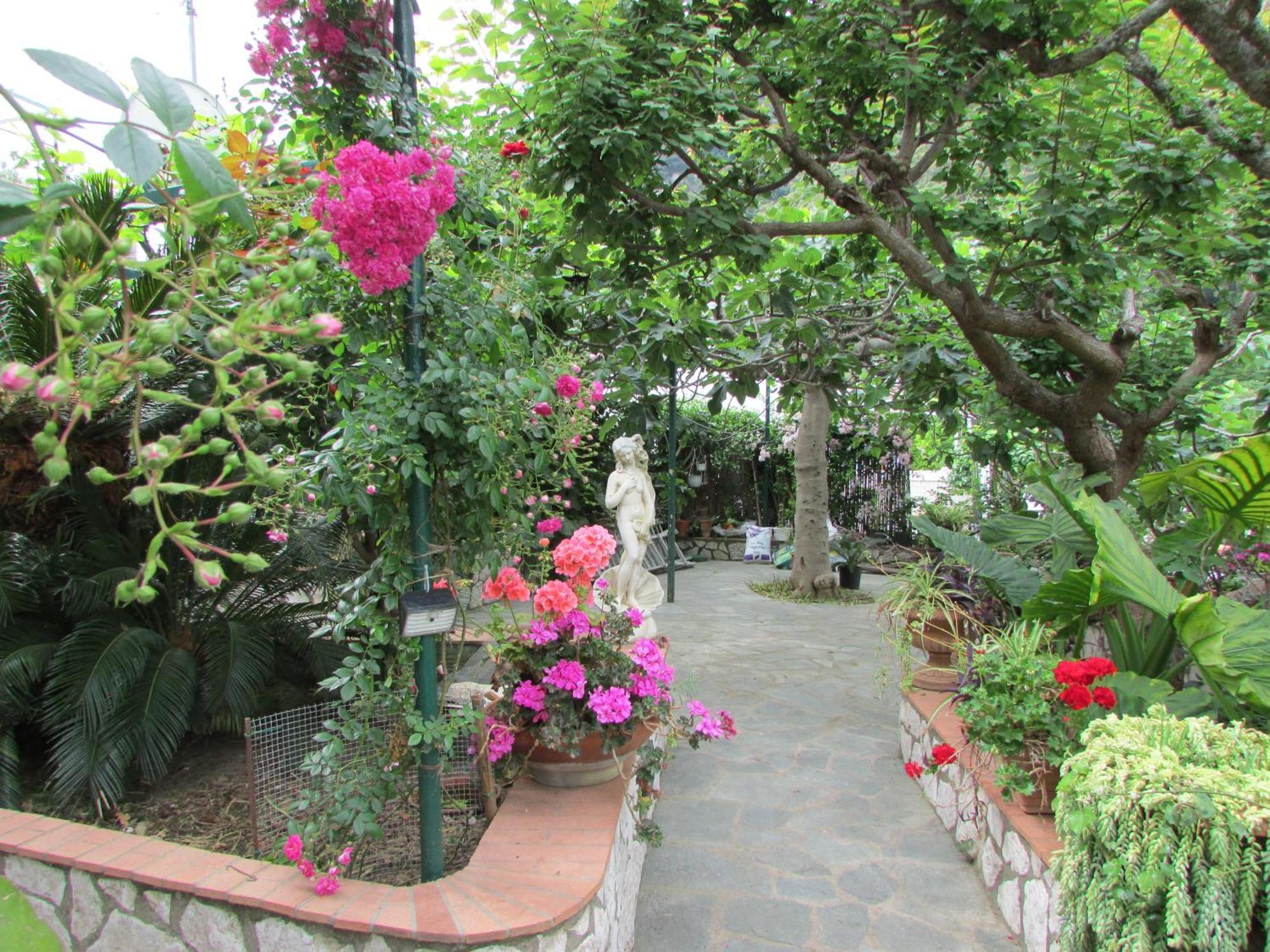 B&B Palazzo A Mare Capri Exteriér fotografie