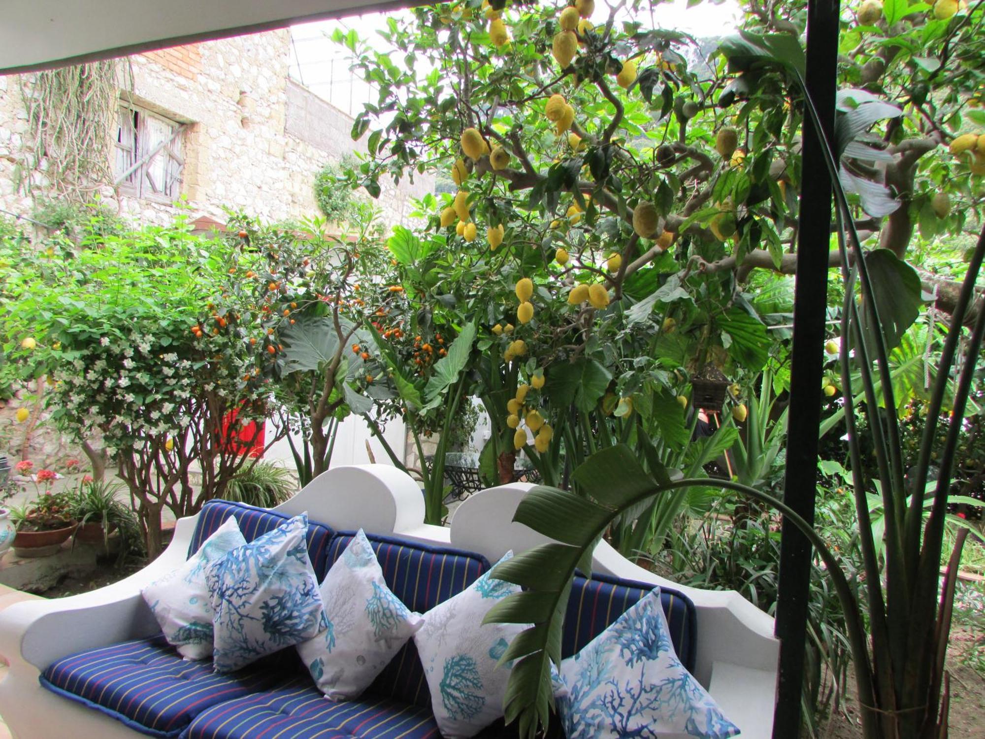 B&B Palazzo A Mare Capri Exteriér fotografie