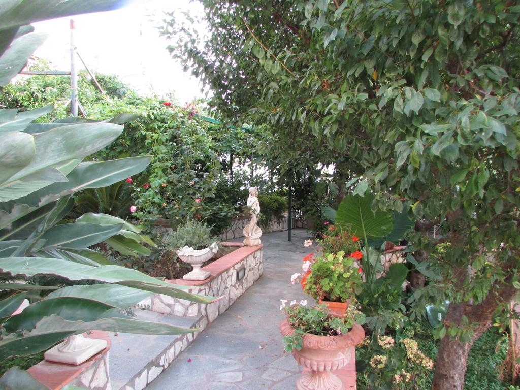 B&B Palazzo A Mare Capri Exteriér fotografie