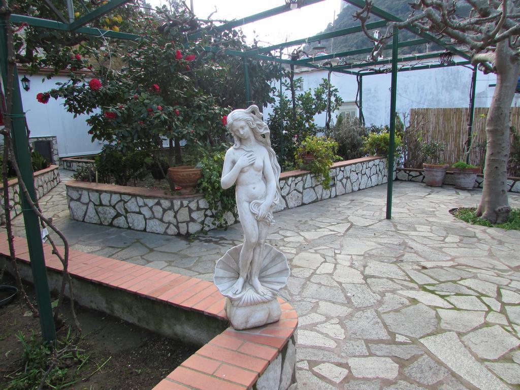 B&B Palazzo A Mare Capri Exteriér fotografie
