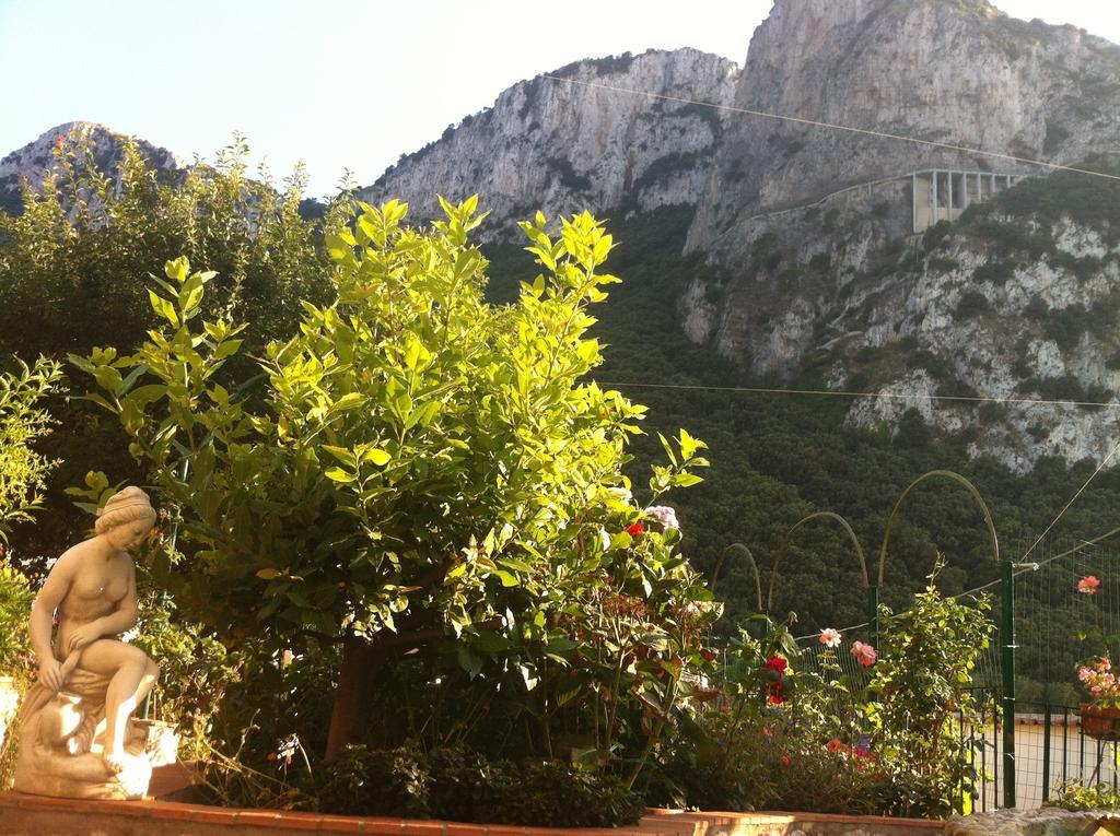 B&B Palazzo A Mare Capri Exteriér fotografie